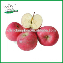 grade one fresh golden delicious apple/Chinese Fresh Red Fuji Apple